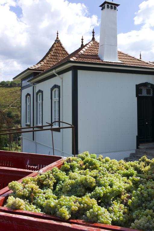 Casa De Cambres Konuk evi Lamego Dış mekan fotoğraf